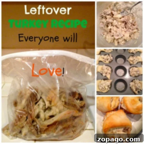 Best leftover turkey recipe you will ever make! Super easy and everyone will love these turkey dumplings, even your kids! Great with ham too. #leftover #turkey #leftoverturkey #leftoversrecipe Simple and delicious leftover turkey recipe