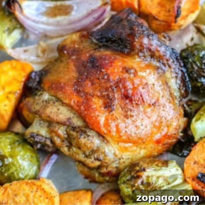 No Thaw Instant Pot Chicken Thighs 2 Instant Pot Frozen Chicken Thighs - easy and fast recipe