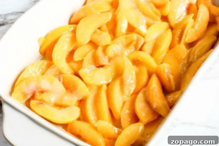Juicy Fresh Peach Dump Cake with Cake Mix 4 Sliced fresh peaches ready for the dump cake recipe.