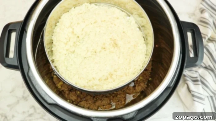 Tender Instant Pot Korean Beef 5 A bowl of Instant Pot Korean beef with rice and green onions, showcasing a delicious weeknight meal.