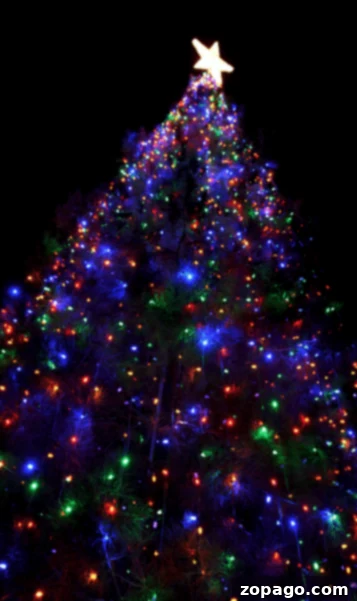 Bainbridge Circle's Christmas Light Wonderland 3 Close-up of intricate Christmas decorations at Bainbridge Circle