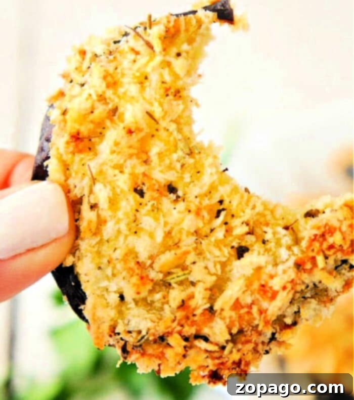 Crispy Air Fryer Eggplant 2 Crispy breaded eggplant slices cooked in an air fryer, served as a healthy snack.