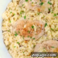 Rice and pork topped with parsley in a white dish, reminiscent of the comfort meals made effortlessly with a Ninja Foodi.