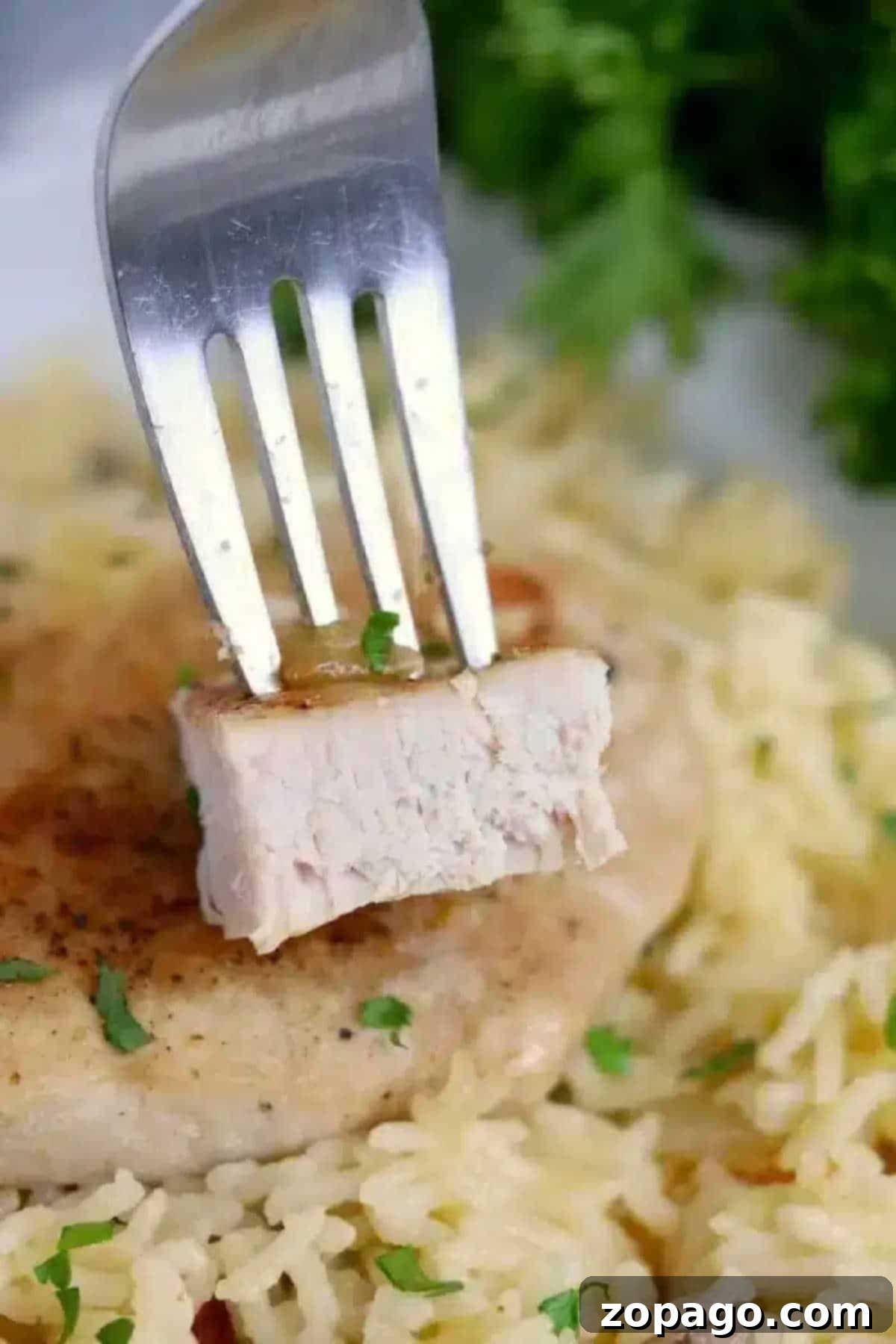 Ninja Foodi Pork Chops with Rice 9 A fork holds a bite of pork chops over a plate of seasoned rice and herbs, inspired by flavors you'd find in ninja foodi pork chops.