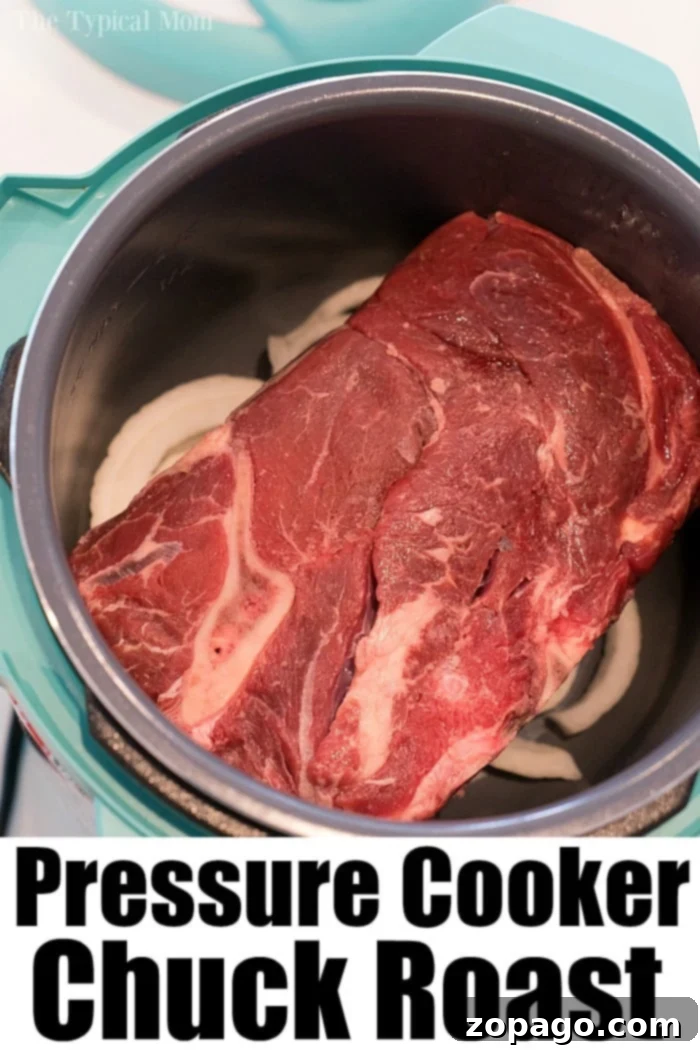Perfectly Tender Instant Pot Frozen Roast 8 Raw chuck roast nestled alongside onion slices in an Instant Pot, creating a savory beef roast recipe that promises tender perfection.