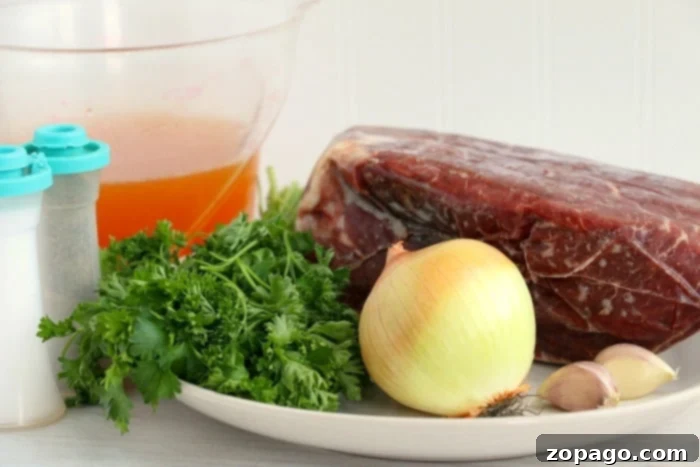 Instant Pot Frozen Roast: From Freezer to Family Meal 3 Frozen roast in a pressure cooker with vegetables, ready to be cooked