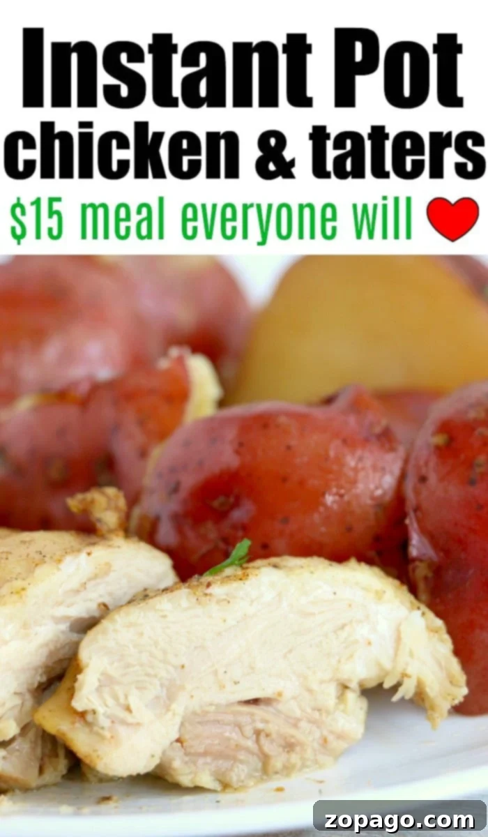 Hearty Instant Pot Chicken and Potatoes 10 Pressure cooker chicken and potatoes, a delicious and quick one-pot meal.