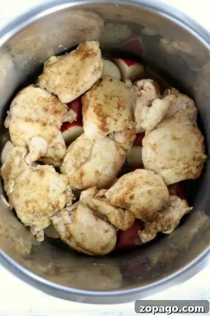 Hearty Instant Pot Chicken and Potatoes 7 Chicken and potatoes cooked to perfection in an Instant Pot.