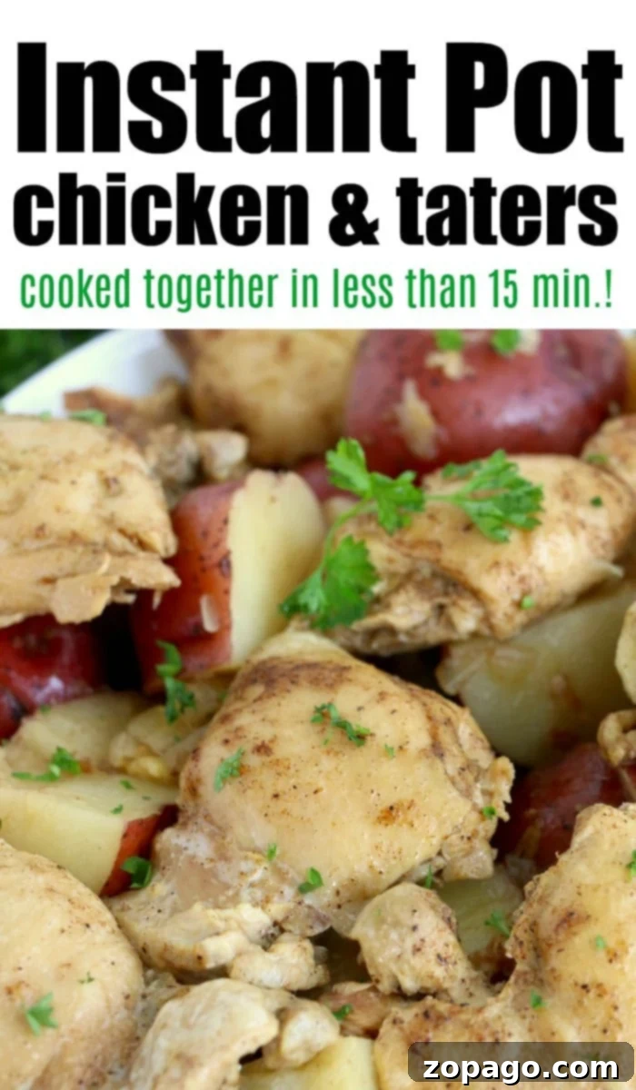 Hearty Instant Pot Chicken and Potatoes 8 Instant Pot Chicken and Potatoes - A savory and complete meal.