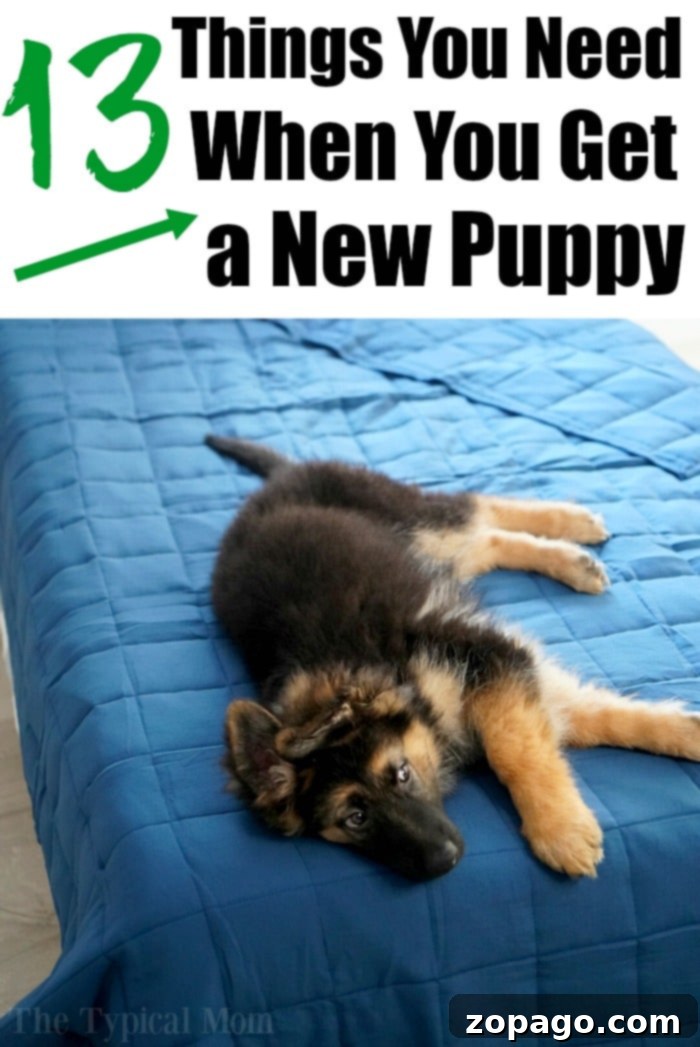 New Puppy Prep: Your Free Printable Checklist 3 new puppy checklist