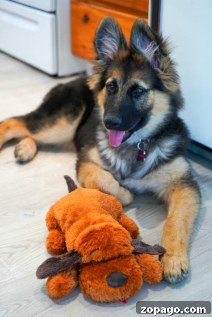 New Puppy Prep: Your Free Printable Checklist 5 heartbeat dog