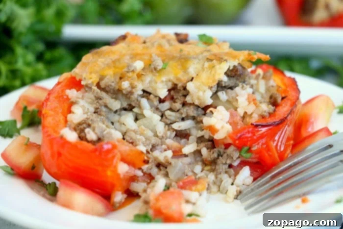 Air-Fried Stuffed Bell Peppers 13 air fryer stuffed bell peppers