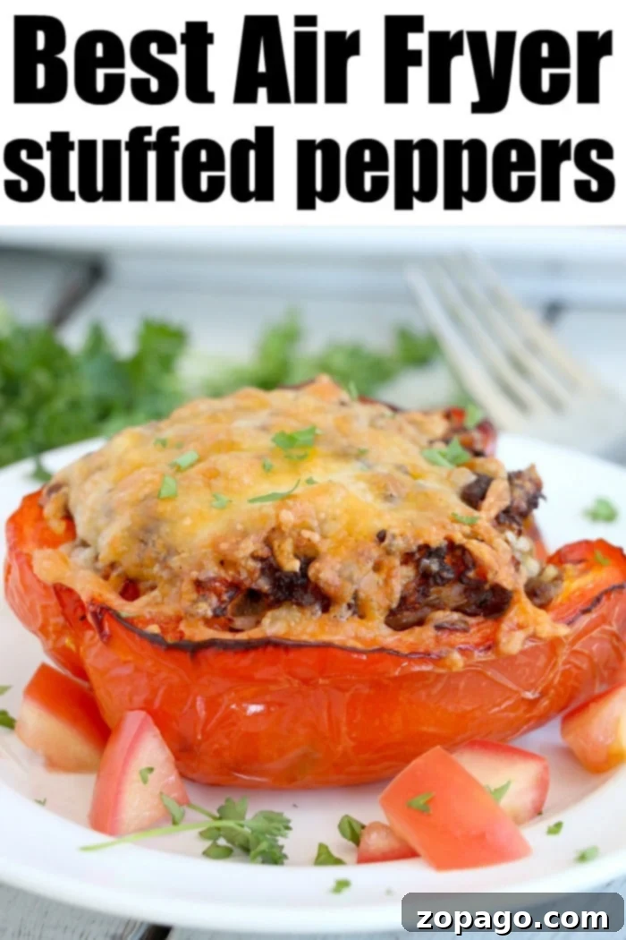 Air-Fried Stuffed Bell Peppers 14 Air Fryer Stuffed Peppers