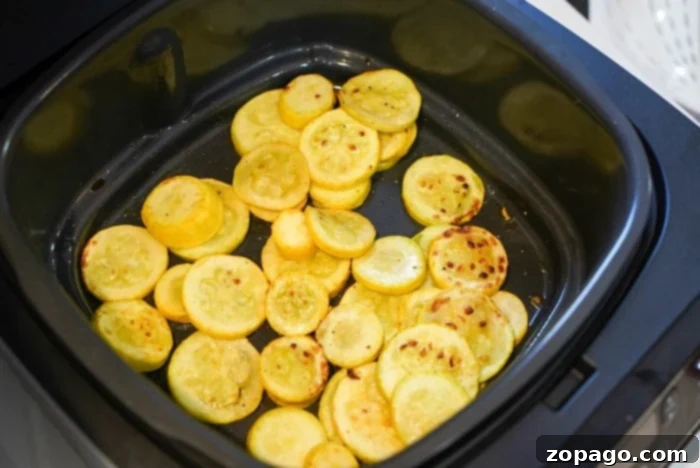Crispy Air Fryer Frozen Chicken Tenders 4 Crispy air-fried squash, a healthy and delicious side dish that pairs well with chicken tenders.