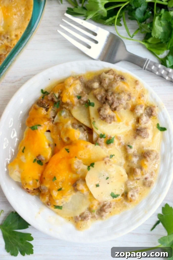 Cheesy ground beef casserole with potatoes is perfect for breakfast or a potluck! Like cheeseburger scalloped potatoes, this will become a family fave. A freshly baked cheesy potato casserole with golden brown top