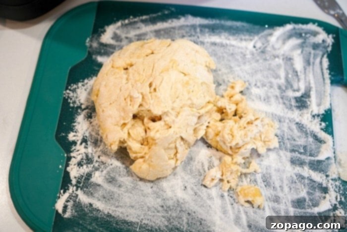 Crispy Air-Fried Tortillas 7 flour tortilla dough