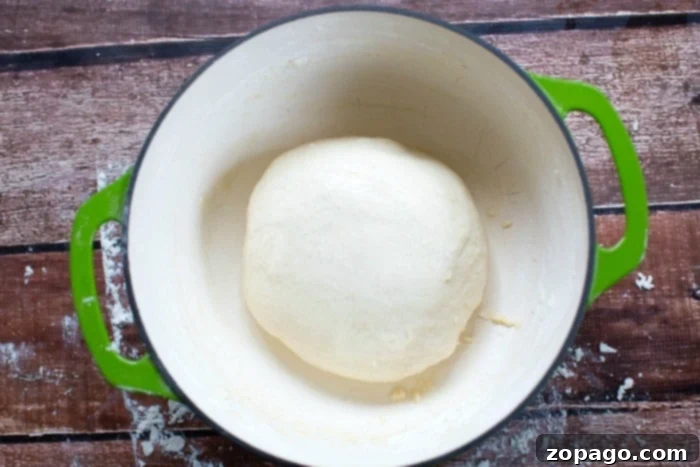 The Secret to Flawless Dutch Oven Bread 3 bread dough in a bowl, ready for kneading
