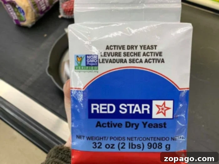 Mastering Homemade Yeast Bread 2 Active dry yeast granules, essential for homemade bread recipes with yeast.