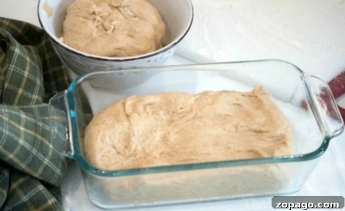Mastering Homemade Yeast Bread 8 A slice of fluffy, easy honey wheat bread, perfect for breakfast or snacks.