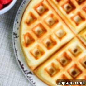 A homemade waffle served on a speckled plate is shown next to a bowl of raspberries.