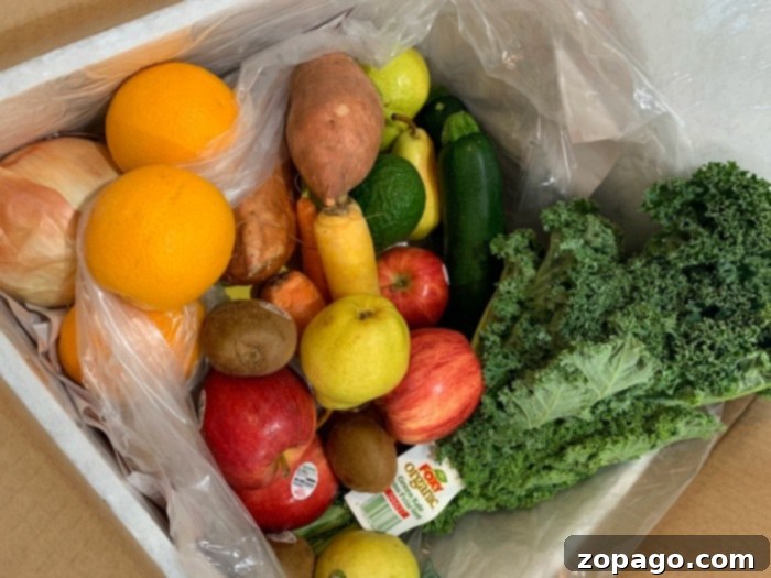 Diverse Fruits and Vegetables Delivered Fresh Variety of fresh fruits and vegetables delivered to home