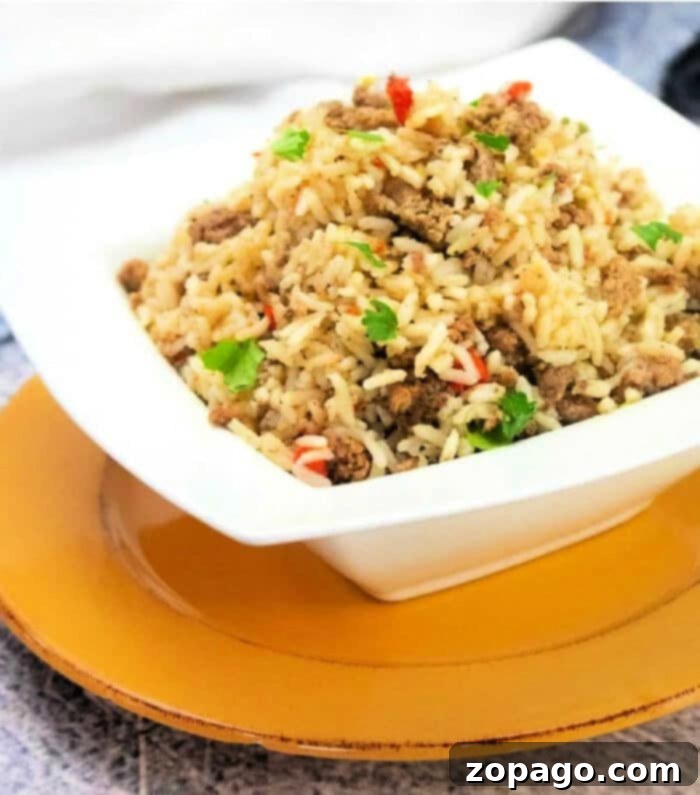 Instant Pot dirty rice, a flavorful one-pot meal with ground beef and rice, ready to serve.