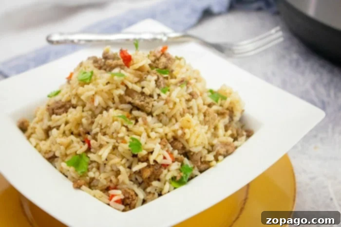 A selection of delicious Instant Pot recipes, including various meals in Instant Pots, highlighting the versatility of pressure cooking.