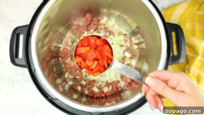 A bowl of Instant Pot Ground Beef and Rice garnished with fresh green onions, ready to be enjoyed.
