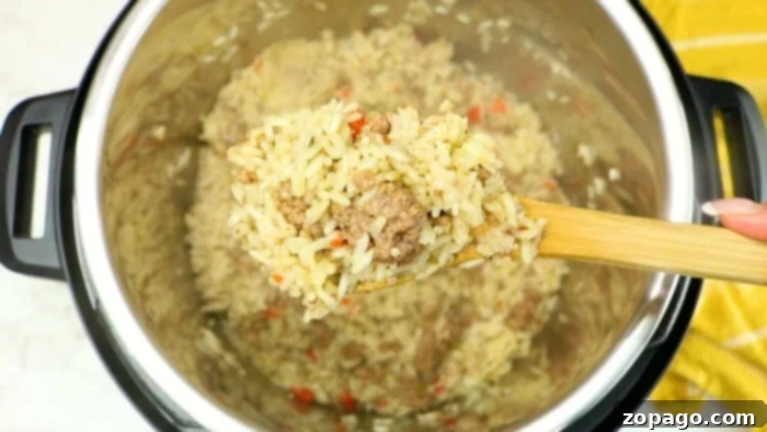 A close-up of a serving of easy dirty rice recipe, showing fluffy rice mixed with seasoned ground beef and green onions.