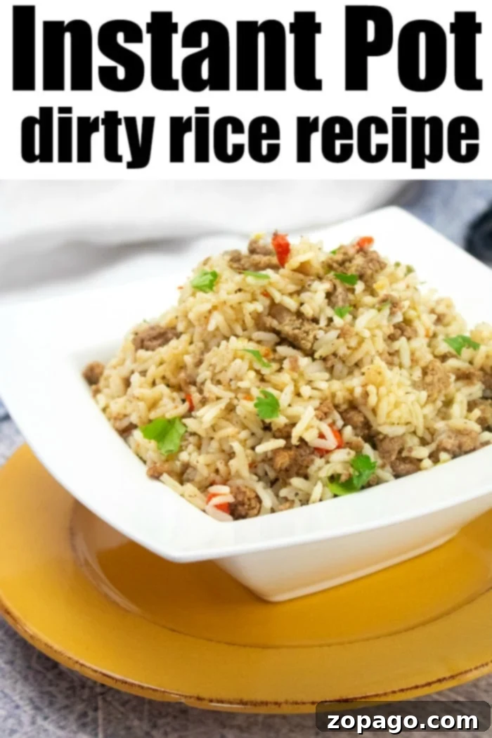 Instant Pot dirty rice, a flavorful one-pot meal with ground beef and rice, ready to serve in a white bowl with a spoon.