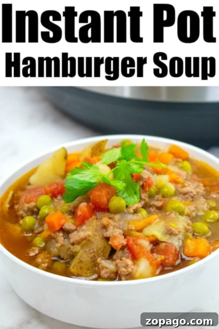 Delicious Instant Pot hamburger soup recipe with vegetables, potatoes, and more! A healthy, protein-packed pressure cooker soup with ground beef that's incredibly easy to make. Instant Pot Hamburger Soup with potatoes and vegetables, garnished with parsley.