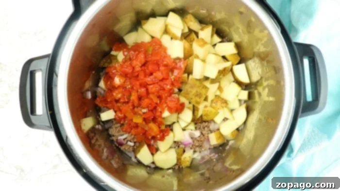 Hearty Instant Pot Burger Soup 3 A bowl of rich, hearty Hamburger Soup ready to be served.