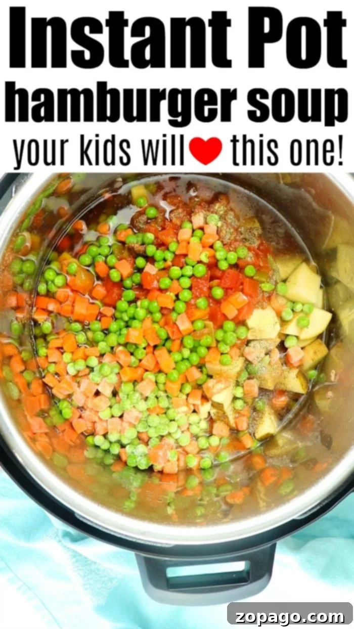 Easy Instant Pot hamburger soup recipe with vegetables, potatoes, and more! A healthy, protein-packed pressure cooker soup with ground beef that's incredibly simple to make. A vibrant bowl of Instant Pot soup, showcasing the medley of vegetables and ground beef.