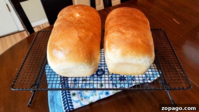 Cloud-Like Homemade White Bread 8 Two freshly baked, golden brown loaves of homemade white bread cooling on a wire rack, ready to be enjoyed.