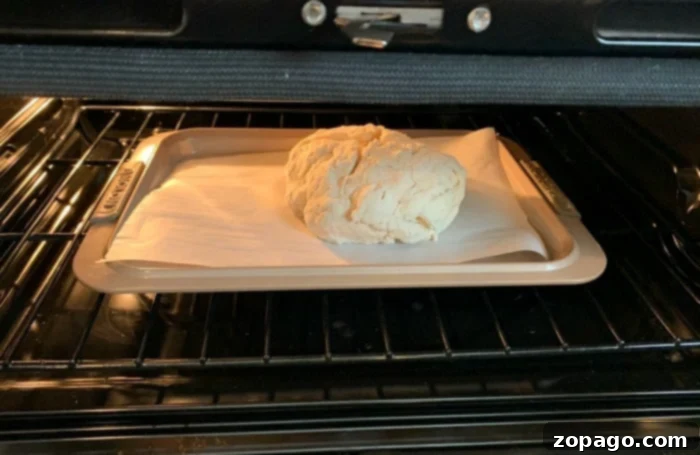 Easy 3 Ingredient Bread 6 The process of baking homemade bread in the oven, showing a golden crust developing.