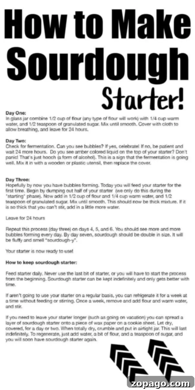 Fluffy Sourdough Discard Cinnamon Rolls 12 Detailed illustration of how to make sourdough starter from scratch, showing ingredients and steps.