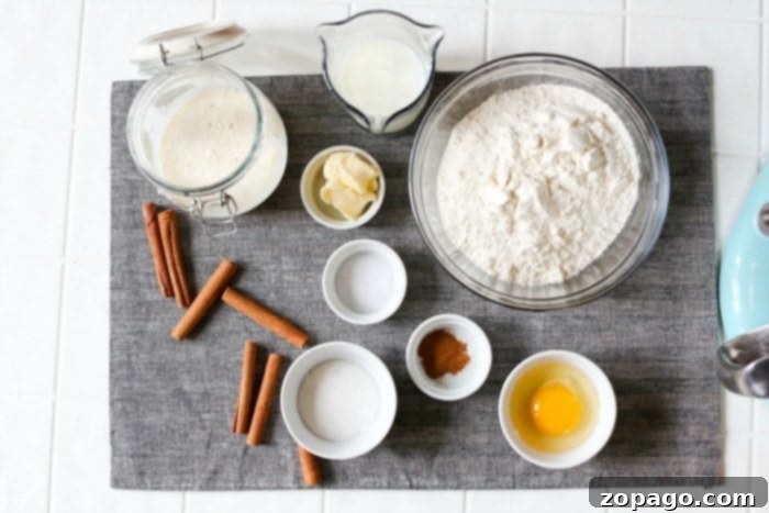 Fluffy Sourdough Discard Cinnamon Rolls 4 Key ingredients for a no-yeast sourdough cinnamon roll recipe, including flour, sugar, butter, and an active sourdough starter.