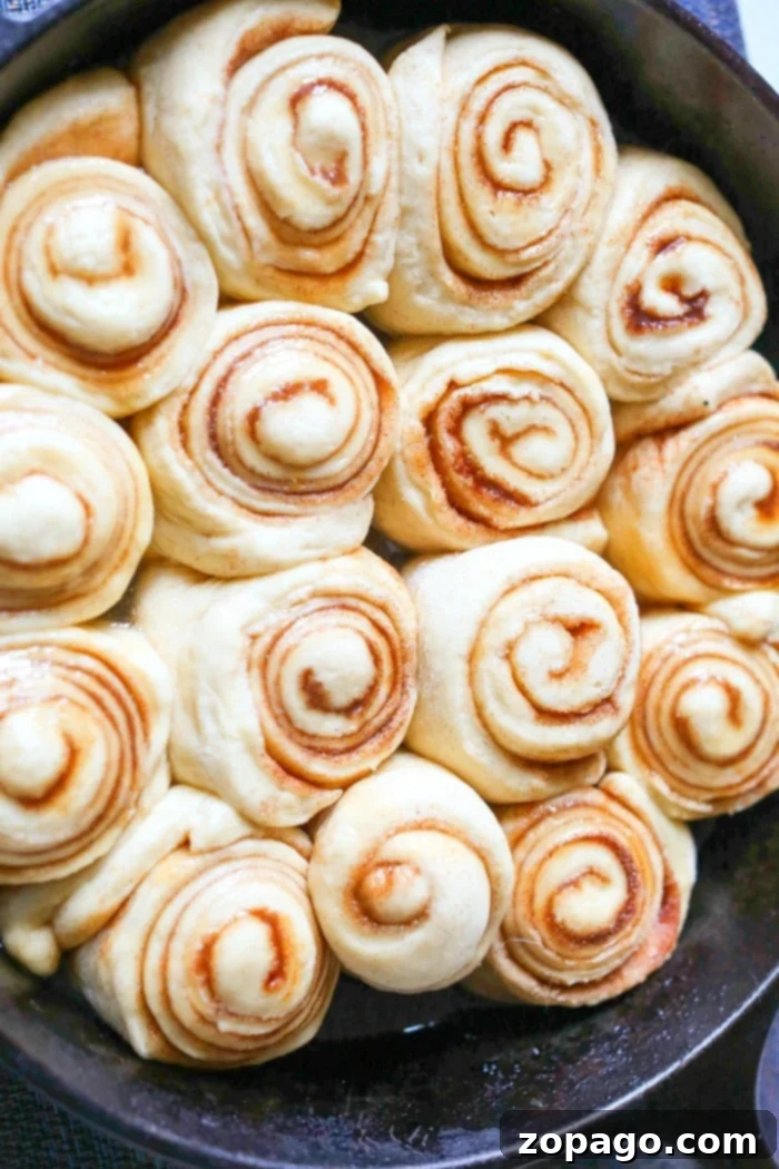 Fluffy Sourdough Discard Cinnamon Rolls 8 A golden-brown batch of homemade sourdough cinnamon rolls, fresh from the oven and ready for frosting.