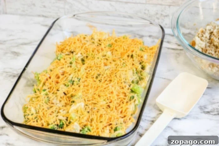 Meal Prep 10 A bubbling golden-brown chicken broccoli casserole, fresh out of the oven, highlighting a perfect recipe for batch cooking and family meals.