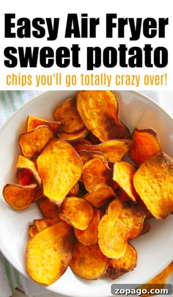 Crispy Air Fryer Sweet Potato Chips 8 A vibrant close-up of Air Fryer Sweet Potato Chips, perfectly seasoned and golden brown, ready for snacking.