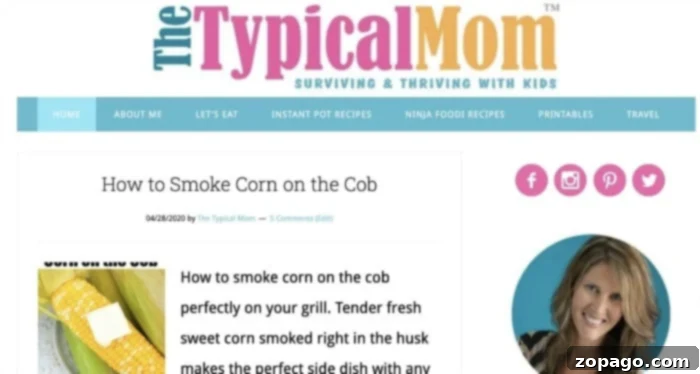 Start Blogging for Profit 5 the typical mom blog