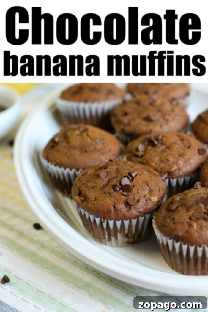 Super Moist Chocolate Banana Zucchini Muffins 7 A plate of delightful chocolate banana muffins on a striped cloth.