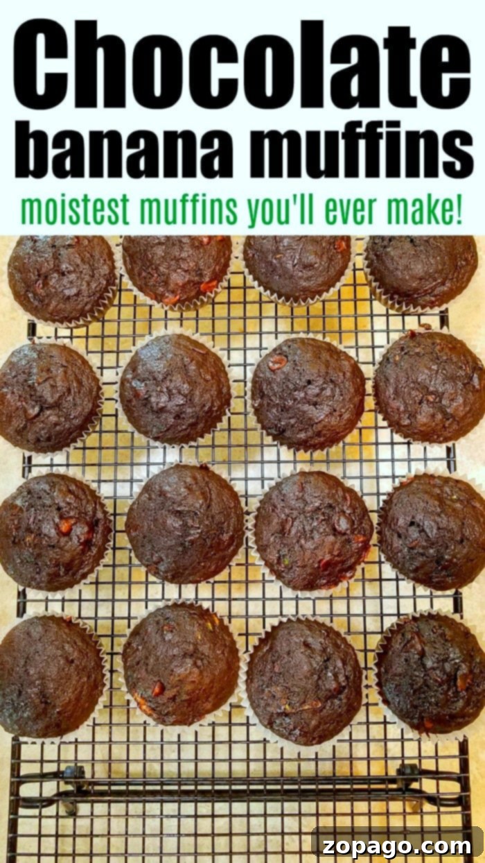 Decadent Zucchini Chocolate Banana Muffins 8 Chocolate-Banana-Muffins 2