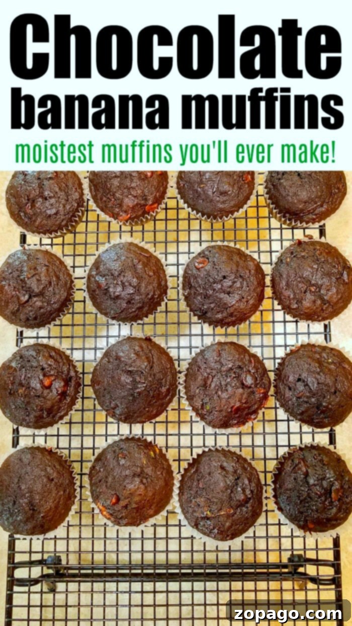 Super Moist Chocolate Banana Zucchini Muffins 8 Two rows of chocolate banana muffins cooling on a wire rack.