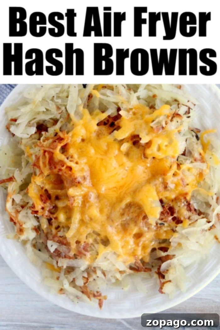 Crispy Air Fryer Hash Browns 5 Perfectly golden and crispy air fryer hash browns with melted cheese