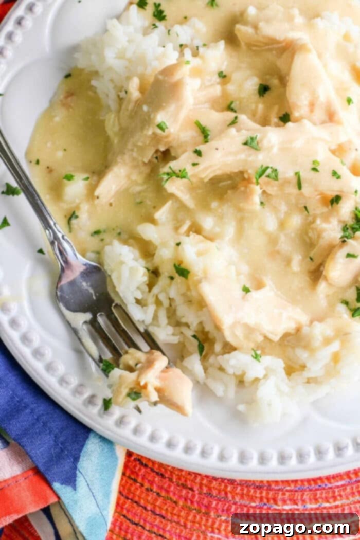 slow-cooker-creamy-chicken: A close-up shot of creamy slow cooker chicken with gravy, ready to be served over rice or noodles.