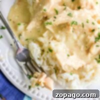 A plate of creamy crockpot chicken with rice, garnished with parsley, sits on a red placemat next to a fork and colorful napkin.