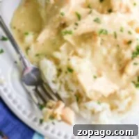 Easy Creamy Slow Cooker Chicken 4 A plate of creamy crockpot chicken with rice, garnished with parsley, sits on a red placemat next to a fork and colorful napkin.