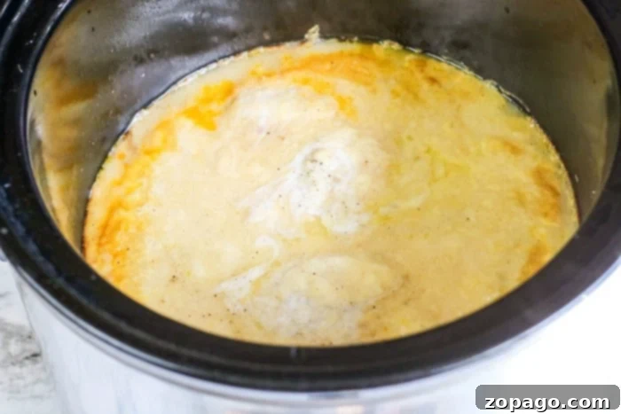 Easy Creamy Slow Cooker Chicken 5 Close-up of shredded creamy slow cooker chicken with gravy, perfect for serving.