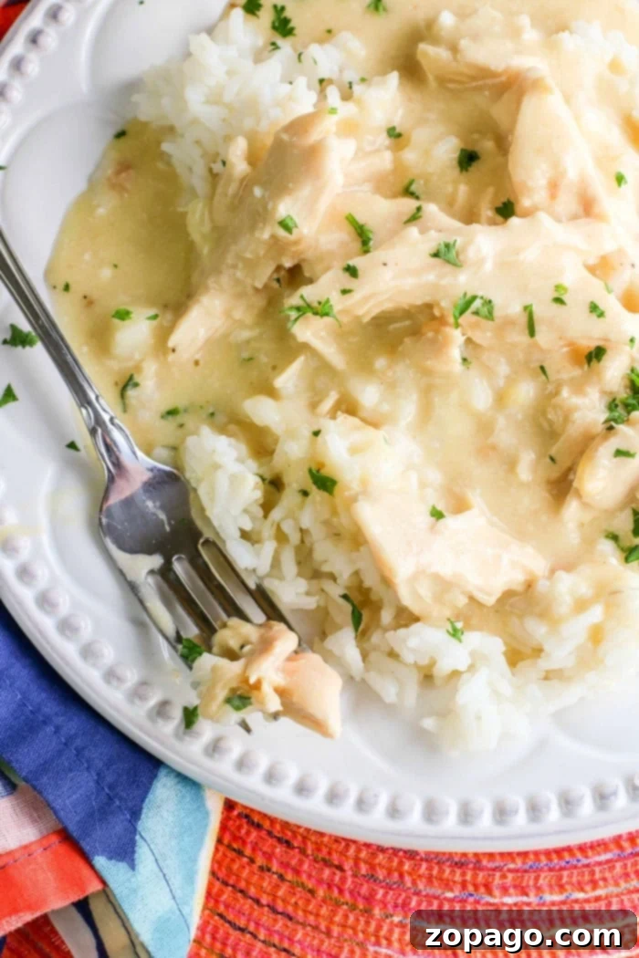 slow cooker creamy chicken: A close-up of a bowl of creamy Crockpot chicken and gravy, garnished with green onions, ready to eat.